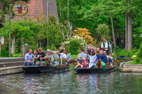 Boat trip
