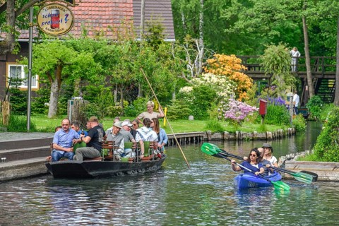 Paddle boat