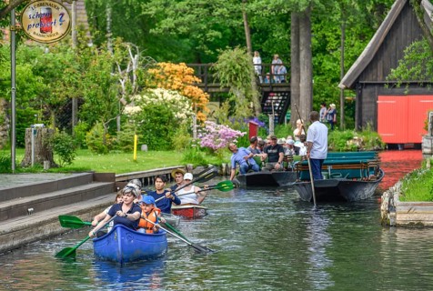 Paddle boats