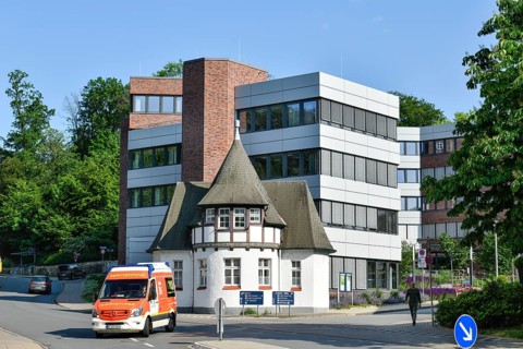 Head Office