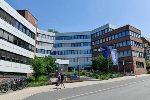Head Office