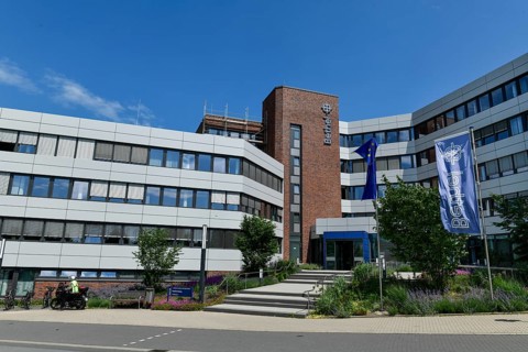 Head Office