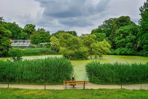 Pond
