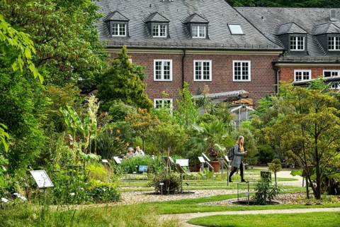 Botanical Garden