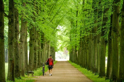 Lindenallee