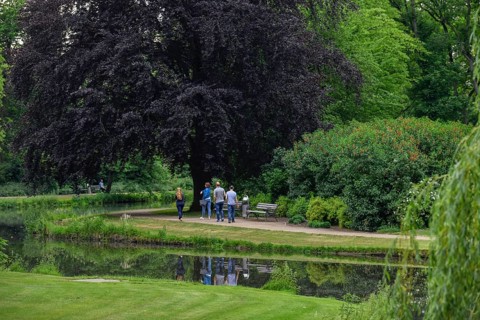 Palace gardens