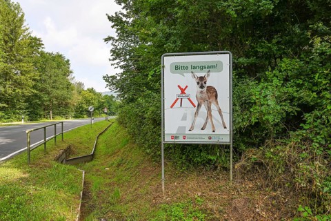 iblkae07238361.jpg
