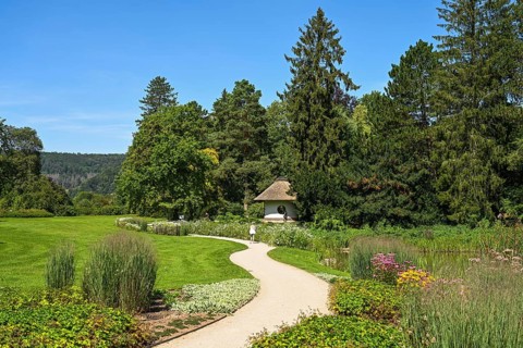 Pond