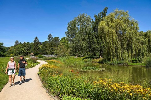 Pond