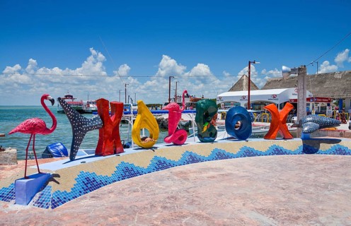 Character HOLBOX
