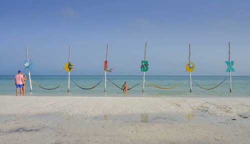 Hammocks