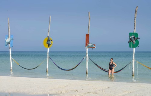 Hammocks