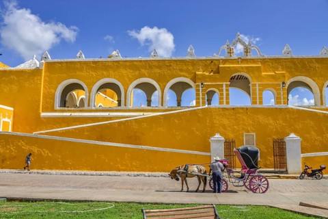 Horse-drawn carriage