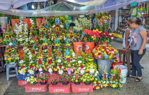Flowers