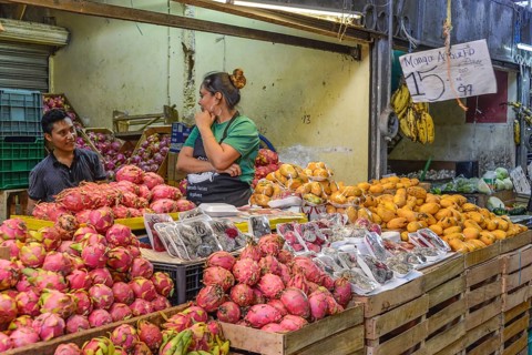 Dragon fruit