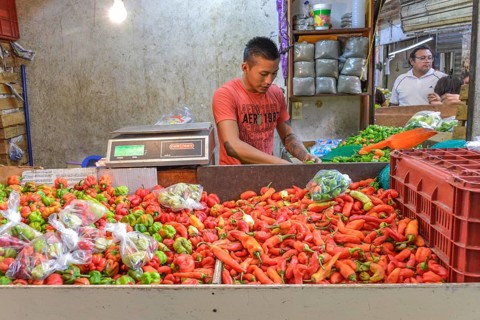 Peppers and chillies