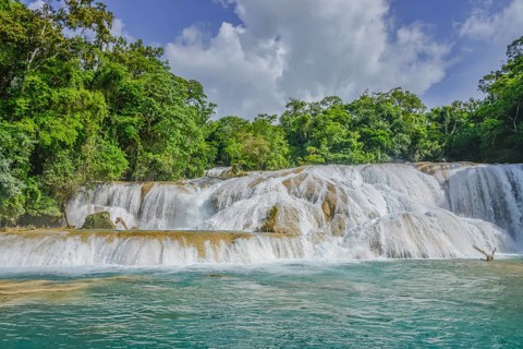 Agua Azul Waterfalls