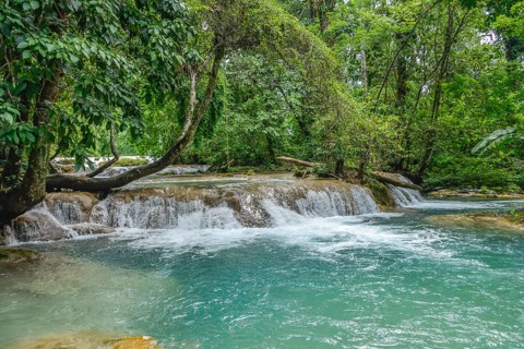 Agua Azul Waterfalls