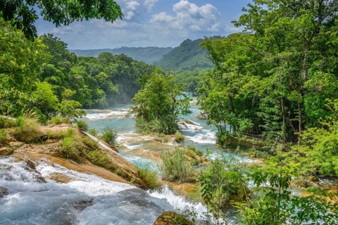 Agua Azul Waterfalls