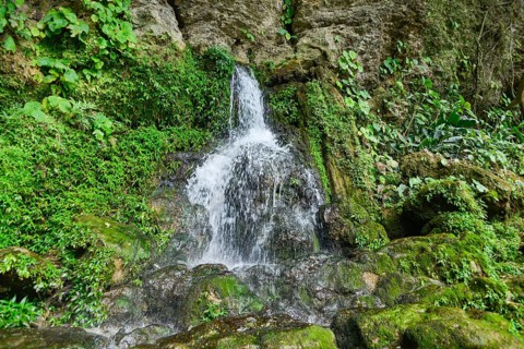 Spring at Misol-Ha Waterfall