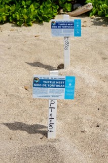 iblkae07239454.jpg