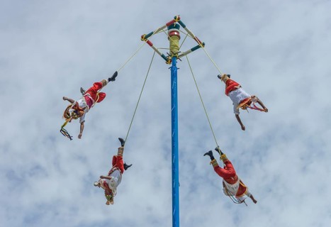 Palo Volador