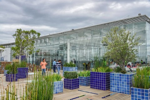 Roof terrace