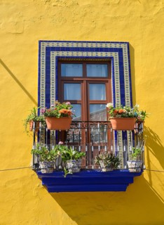 Window
