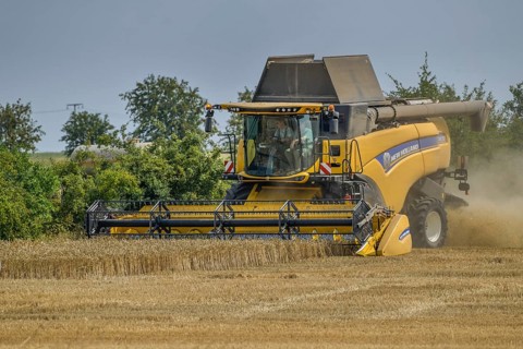 Grain harvest