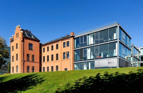 Directors villa