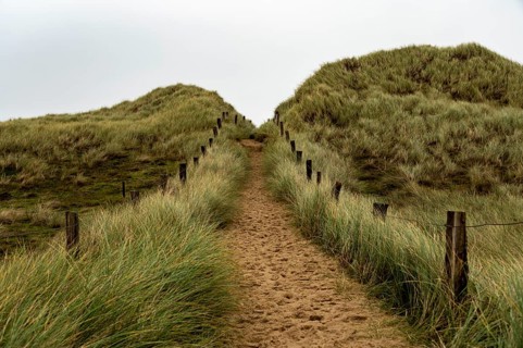 Sand path with dune grass and fence