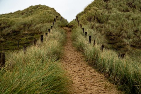 Sand path with dune grass and fence
