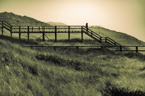 Footbridge with walker in dune landscape