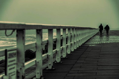 Walkers on the North Sea coast