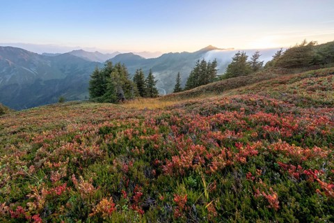 Fog in the high valley on an autumn evening at Potlakopf