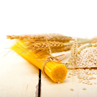 Organic Raw italian pasta and durum wheat grains crop