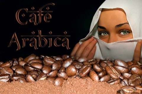 Coffee beans of the Arabica variety lying on ground coffee