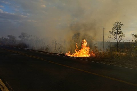 Burning road sign in a bushfire on the main road 251