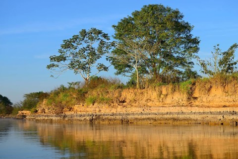 Bank reflected in the water of the Rio Sao Lourenco