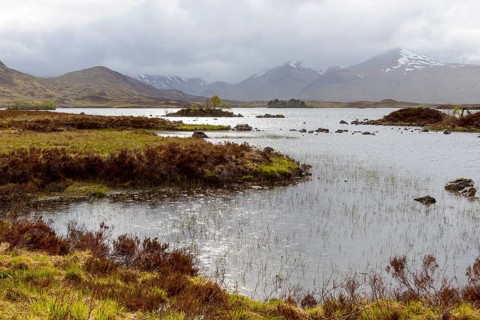Moor landscape with heavily cloudy sky