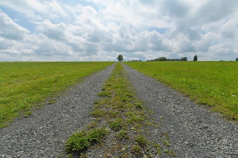 Dirt road in landscape