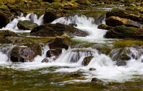 Mountain stream flows over moss-covered stones