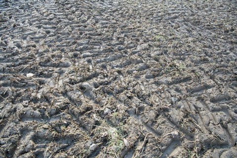 Soil compaction in the field