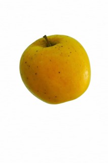 Opal apple