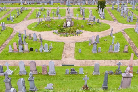 Grave plants on cemetery