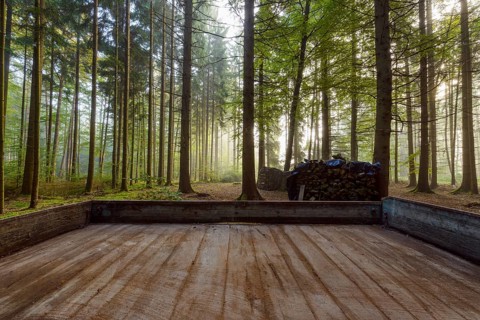 Wooden trailer loading in the forest