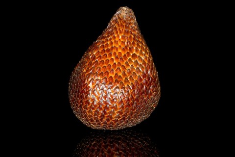 A salak