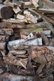 Deadwood piles as natural insect nesting aid