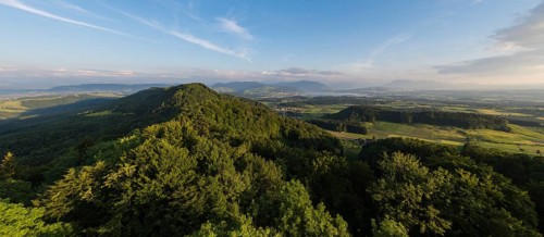 View towards the Alps from the high watchtower on the Albispass