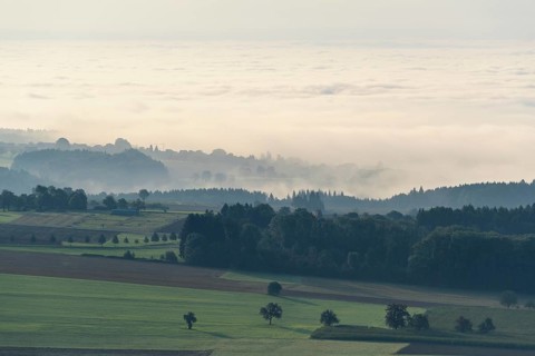 View from Katzenbuckel mountain with morning mist